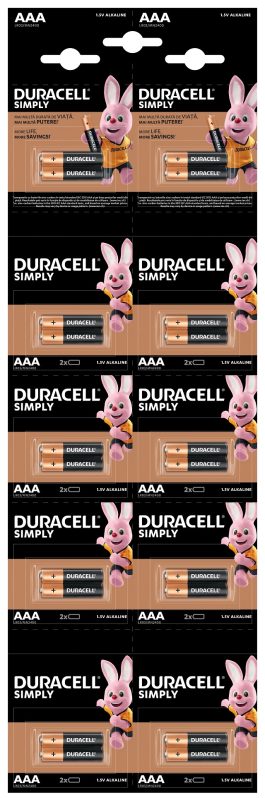 Baterie alcalina Micro (AAA,R03) 1,5V MN2400 Duracell Basic 2x10